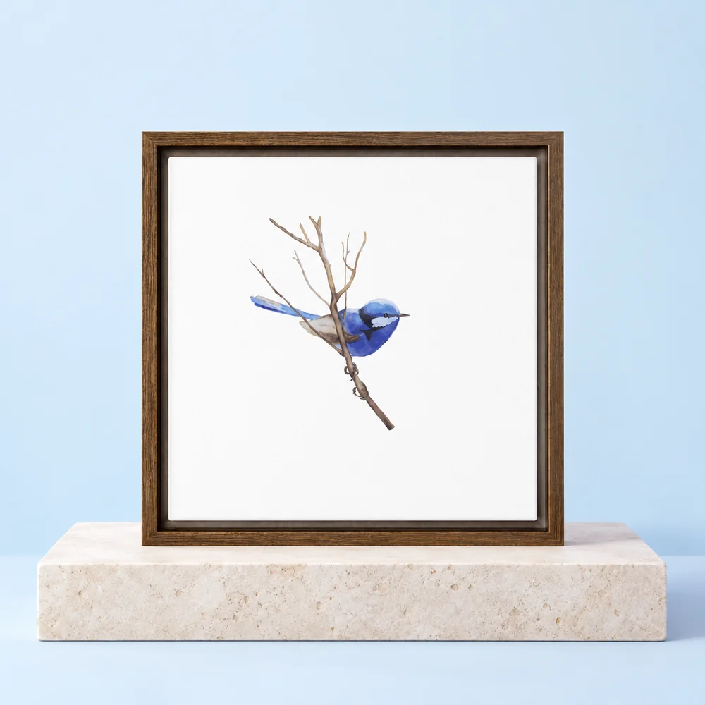 Blue fairywren artwork in a floating wood frame